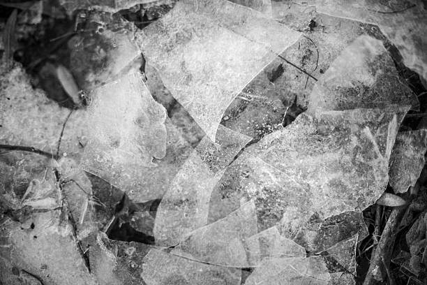 Monochrome shattered ice pieces on the ground, creating a textured surface with natural elements