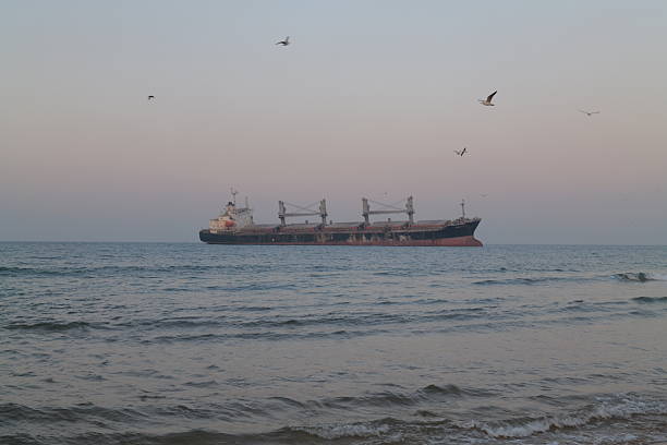 The grounded bulk carrier Bluevis sits in the shallow waters near the shore. After running aground during a powerful typhoon in 2022, the ship was abandoned because the cost of recovery exceeded its value. Today, it stands as a permanent fixture and a must-visit spot for photography enthusiasts.