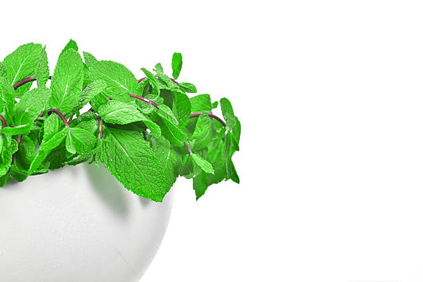 A white bowl with green herbs in it. The bowl is filled with fresh herbs and is placed on a white background