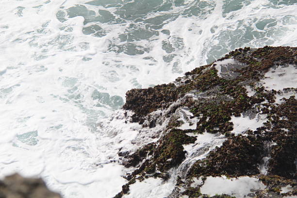 Powerful ocean waves crashing against coastal rocks, creating white sea foam and dynamic water motion. Natural seascape showing strength, erosion, and raw energy of the sea
