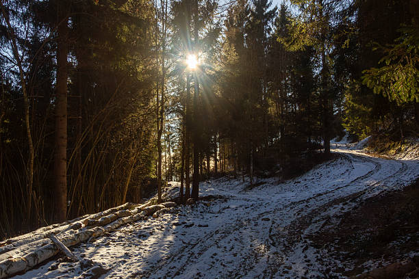 Landscapes, Nature, - Europe, Eastern Europe, Romania, Suceava region - Canon EOS 4000D Lens: EF-S 18-55mm f/3.5-5.6 IS II