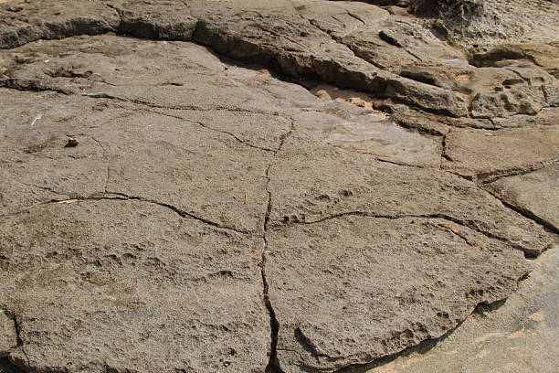 Cracked rock surface with natural patterns formed by erosion and weathering. Abstract stone texture showing geology details, dry terrain, and rugged natural background