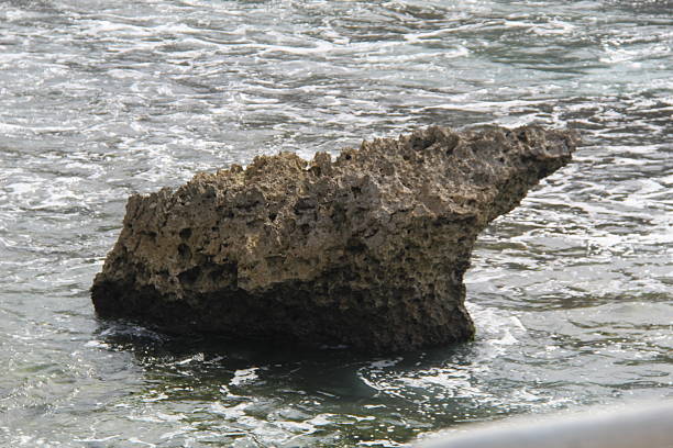 Single coral rock emerging from shallow sea water with gentle waves. Natural coastal scene showing erosion, marine texture, and tropical shoreline environment