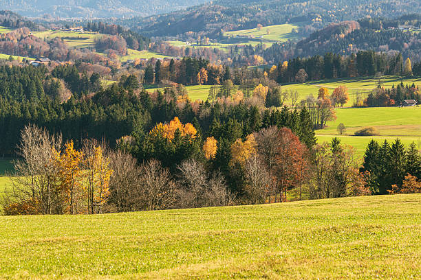 Colorful Autumn In The Alpine Foothills In Bavaria