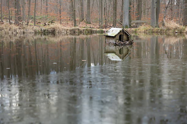 Floating wooden cabin placed on calm forest water creating a mirror reflection. Soft natural colors and tranquil surroundings highlight the peaceful mood of this quiet outdoor landscape.