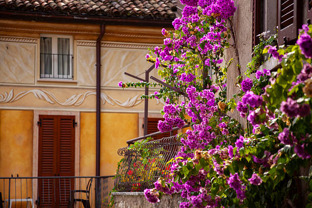 Balcony box with lush plants on a well kept facade in Venice
