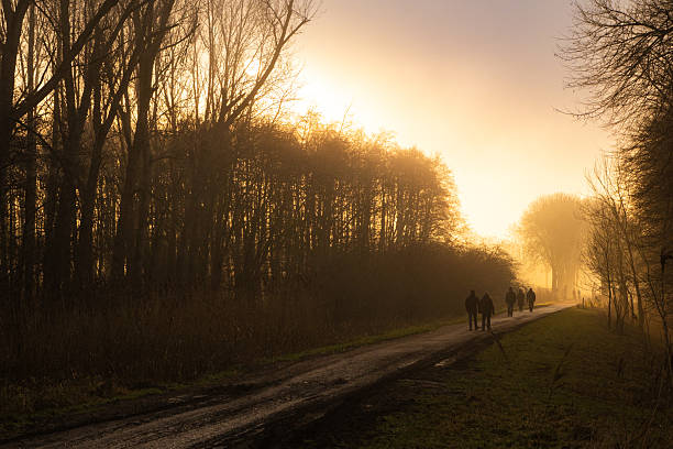 Silhouettes of people walking along a quiet country road surrounded by bare trees and soft mist. Warm sunlight filters through the forest during early morning, creating a calm and atmospheric winter scene. Concepts: nature, relaxation, walking, tranquility, outdoor lifestyle.