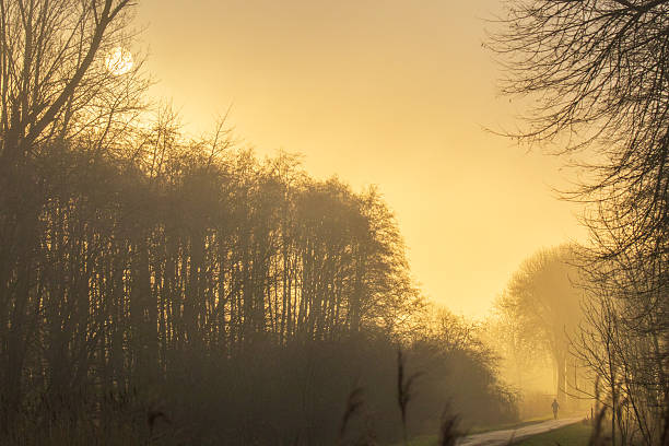 A lone jogger runs along a country road as soft sunlight shines through the mist. Bare trees and diffused light create a dreamy and peaceful early morning atmosphere. Concepts: fitness, motion, health, running, motivation, nature.