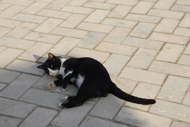 The photo was taken in a public space in the city of Bukhara; no additional permission is required for publication.