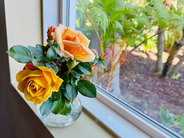 Design of a bouquet of flowers in the vase inside of the house. Simple arrangement on the table or against the window for cards or to congratulate someone with any occasion or holiday. Colorful view (brown, white, green, red, pink, blue) and smooth background. Located in Corona, California. 2025