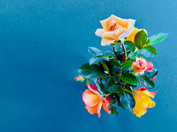 Design of a bouquet of flowers in the vase inside of the house. Simple arrangement on the table or against the window for cards or to congratulate someone with any occasion or holiday. Colorful view (brown, white, green, red, pink, blue) and smooth background. Located in Corona, California. 2025