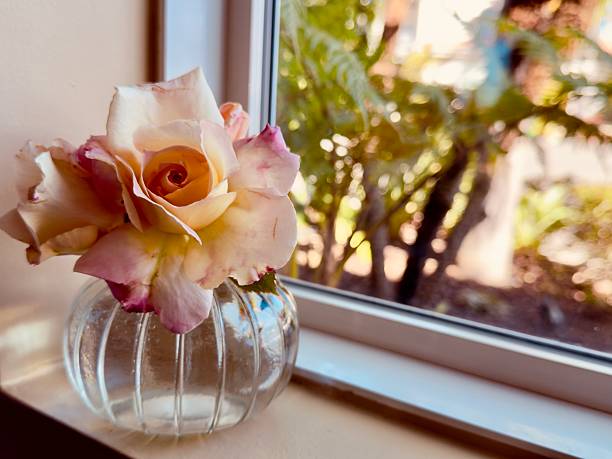 Design of a bouquet of flowers in the vase inside of the house. Simple arrangement on the table or against the window for cards or to congratulate someone with any occasion or holiday. Colorful view (brown, white, green, red, pink, blue) and smooth background. Located in Corona, California. 2025