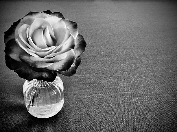 Design of a bouquet of flowers in the vase inside of the house. Simple arrangement on the table or against the window for cards or to congratulate someone with any occasion or holiday. Colorful view (brown, white, green, red, pink, blue) and smooth background. Located in Corona, California. 2025