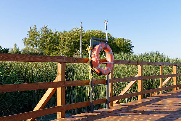 A bright orange life preserver ring hangs on a metal pole beside a wooden boardwalk, with lush green reeds and trees in the background