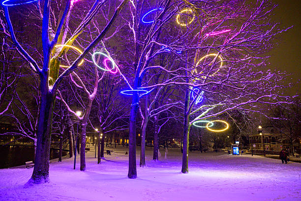 Colorful light decorations in trees in the Ter Pelkwijkpark in Zwolle during the dark winter months and Christmas time in Zwolle, The Netherlands.
