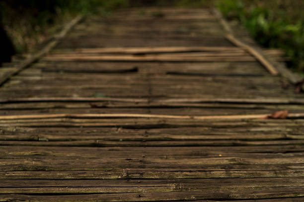 Forest Path Made of Uneven Weathered Wooden Boards