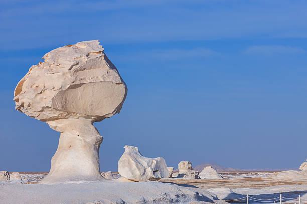 A large, mushroom-shaped white rock rises on a narrow pedestal against a clear blue sky. The smooth, wind-sculpted surfaces and layered textures show extensive erosion; several smaller pale formations dot the flat, sandy plain and lead toward low distant hills. Soft side lighting highlights the sculpted contours and casts gentle shadows, while a low rope barrier in the foreground suggests a designated viewing area.