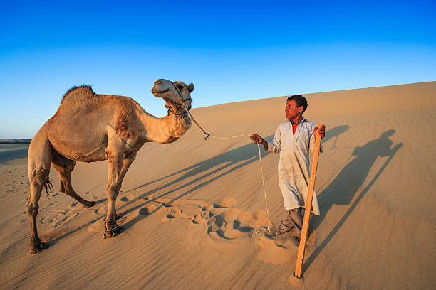 A young boy in traditional clothing stands on a rippled sand dune, holding a wooden staff and a rope tied to a dromedary camel. Warm, low sunlight illuminates the scene, creating long shadows across the sand; the camel faces forward while the boy looks to the side. Footprints and shallow impressions mark the soft dunes under a clear blue sky.