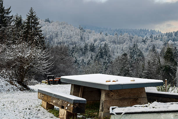 snow covered picnic table in winter mountain landscape, rustic wooden picnic table and benches lightly covered with fresh snow, set in front of a scenic winter forest and rolling hills. the frosty trees and cloudy sky create a calm, peaceful seasonal atmosphere, highlighting the contrast between natural textures and the soft snow.
