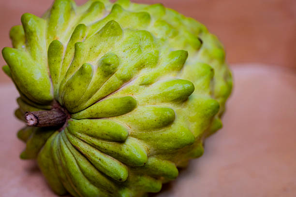 a premium Asian tropical fruitthe Pineapple Sugar Apple (Atemoya)