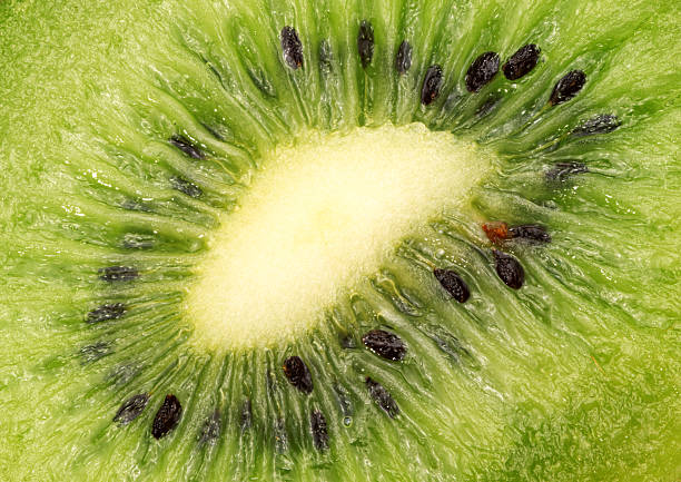 A close up of a kiwi fruit with black seeds. The fruit is green and has a fuzzy texture