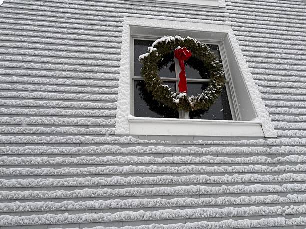 Christmas Decor and Show on Home