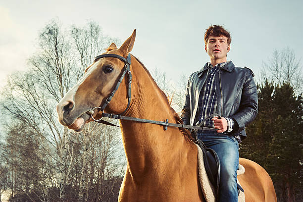 australia melbourne  equestrian demostration