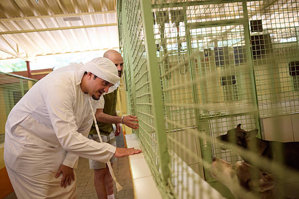 Arab man talking with dogs through metal enclosure. Shiekh is interacting with animals inside kennel. Staff member is assisting him.