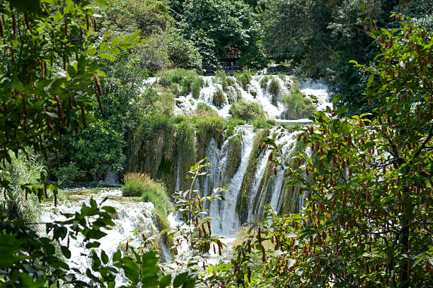 Multiple cascading waterfalls flowing through lush vegetation in Krka National Park, Croatia. Natural travel landmark in Europe.