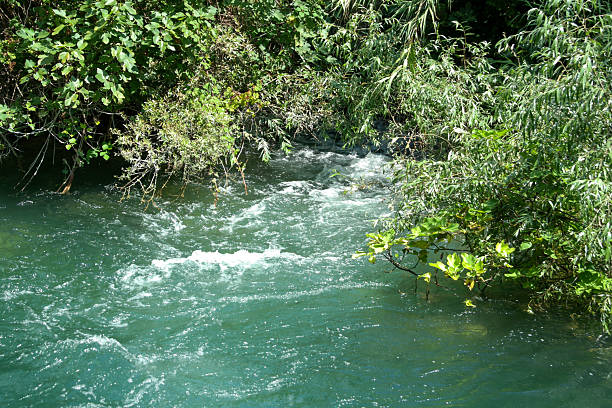 Clear turquoise river flowing through lush green vegetation in Krka National Park, Croatia. Summer landscape with fresh water and natural scenery.