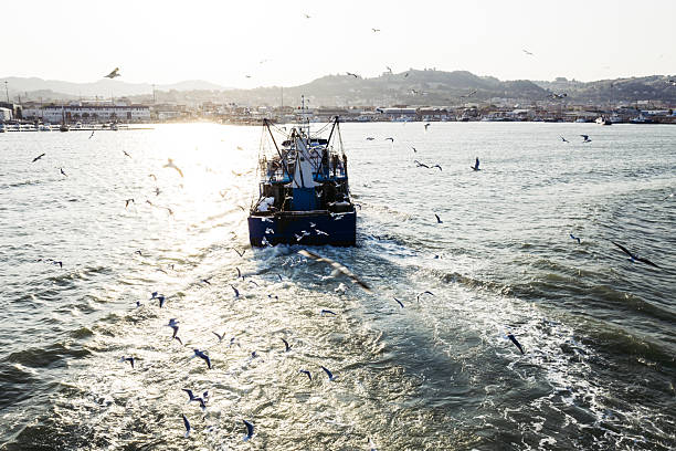 Fishing village of Pasajes de San Juan with a fishing boat in the foreground. Gipuzkoa, Basque country, Spain.