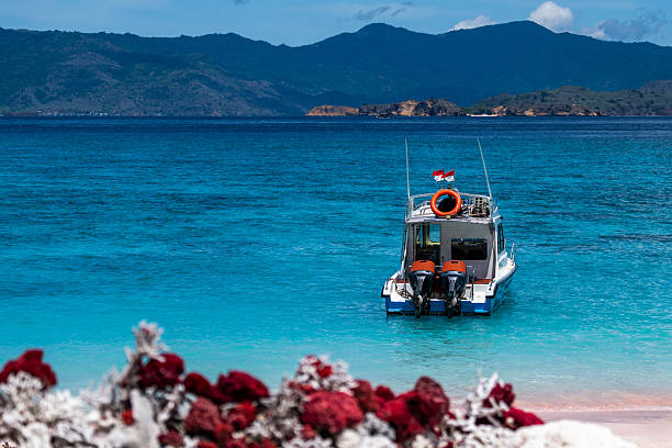 Close-up of diverse red and white coral pieces piled on a tropical shore with turquoise sea in the background.