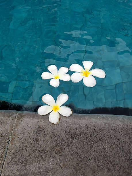 Background for romantic vacation and sea travel, concept of spa and relax on a tropical resort