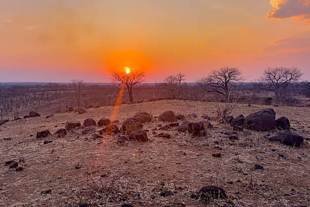 A Landscape shot of a sunset with red colours with the sunlight shining through a tree and with lensflare present. The shot shows the South Luangwa Plain with the trees cutting the horizon.