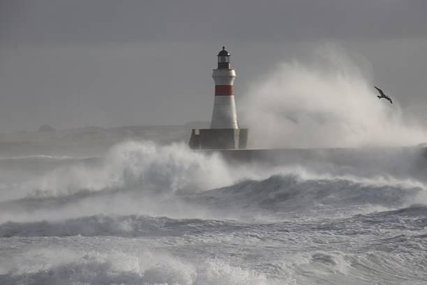Big waves breaking against breakwater with beacon