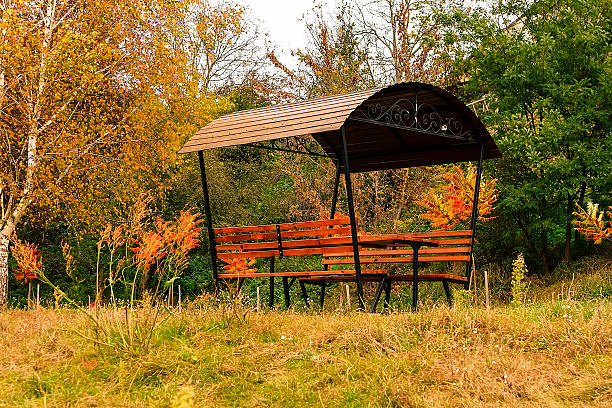 Empty picnic pavilion with benches in park during fall season, tranquil outdoor rest area ideal for relaxation and nature enjoyment.