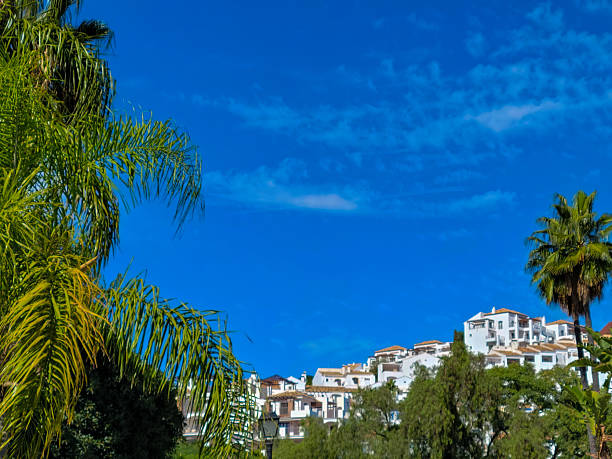 This image captures a picturesque Mediterranean village in Andalusia, Spain, featuring clustered white-washed buildings with terracotta roofs perched on a steep hillside. Lush green palm trees frame the foreground, contrasting against the vibrant blue sky dotted with scattered white clouds. The scene evokes a serene, sunny daytime atmosphere typical of southern European coastal regions during summer. No people are present, emphasizing the architectural beauty and natural landscape. Ideal for commercial uses such as travel articles, tourism brochures, real estate promotions for vacation homes, lifestyle magazines, and book covers depicting European heritage sites or idyllic retreats.