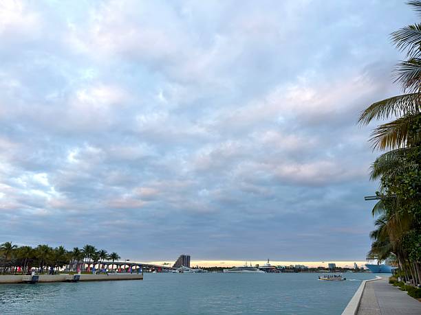 Miami skyline featuring the MacArthur Causeway stretching across Biscayne Bay, with lush palm trees framing the view and large cruise ships docked in the distance under a cloudy sky
