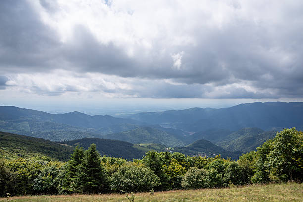 Rolling Vosges Mountains landscape with dense forests and a cloudy sky