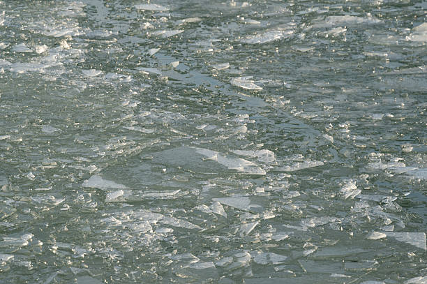 An abstract winter close-up of broken ice floating on the surface of Lake Balaton. Translucent ice fragments and soft daylight create a textured, natural pattern that reflects cold seasonal conditions.