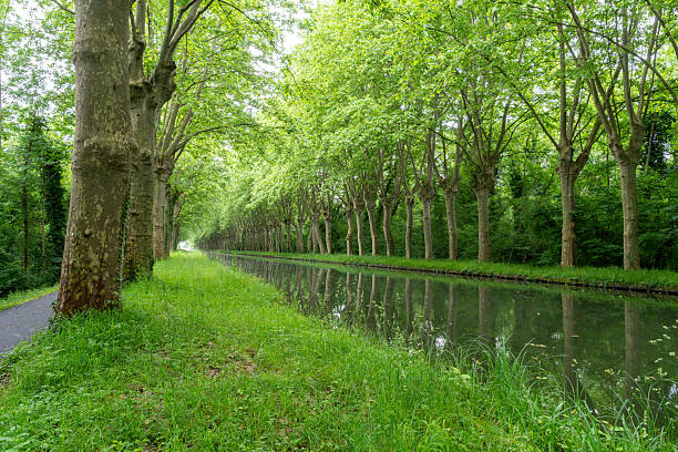 France - Dole village - architecture of the old town and water channel with green water