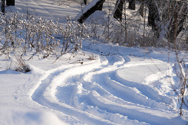 Tire tracks create patterns in the snow, leading through a winter landscape with sparse vegetation and trees in the background