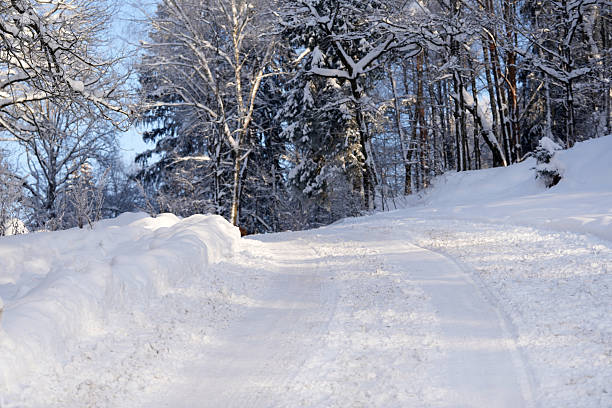 Paved road with tire tracks winding through a snow-covered pine forest during winter, creating a serene and cold landscape