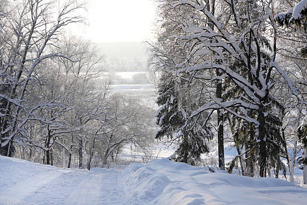 Snowy path leads through a tranquil winter scene with bare trees and a frozen lake visible in the distance under a bright sky