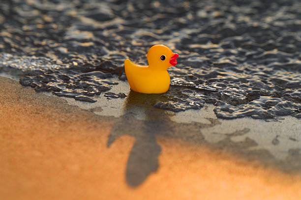 Yellow rubber duck resting on melting ice on a window sill, illuminated by warm afternoon sunlight with reflections and a soft shadow, creating a surreal still life.