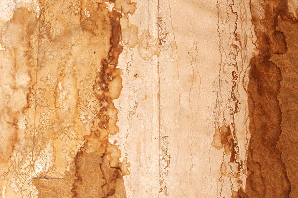 Vintage wallpaper with water stains.