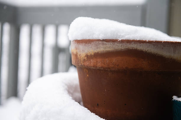 This is a photo of a terracotta pot left outside on the porch and covered with snow on a winter day in New Jersey.
