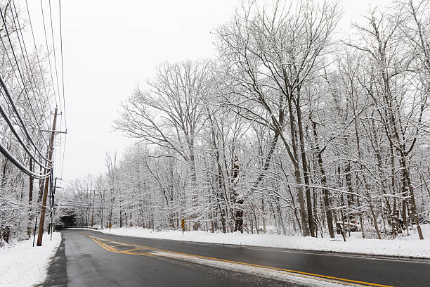 This is a photograph of a scenic road lined with snow covered trees in Mahwah, New Jersey on a winter day.