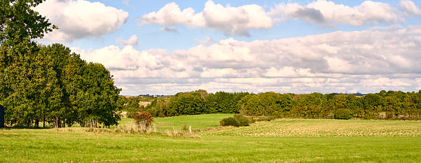 A tranquil rural scene featuring lush green fields, clusters of trees, and a wide, clear sky scattered with white clouds. Ideal for themes of nature, calm, outdoor life, farming, and countryside travel.