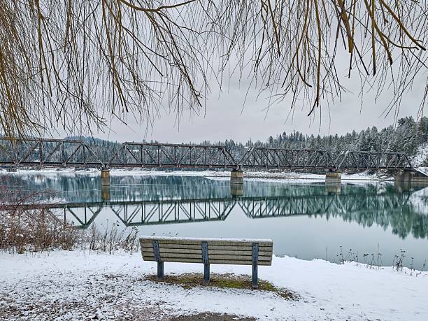 A park bench sits under a tree in winter by the Pend Oreille River in North Idaho.